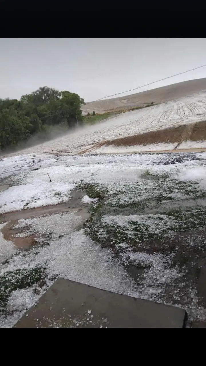 Forte chuva de granizo atinge região