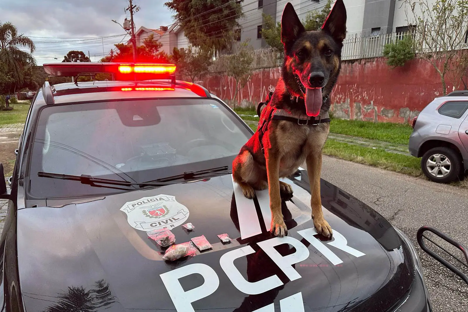 PCPR cumpre 36 mandados contra organização ligada ao tráfico e lavagem de dinheiro